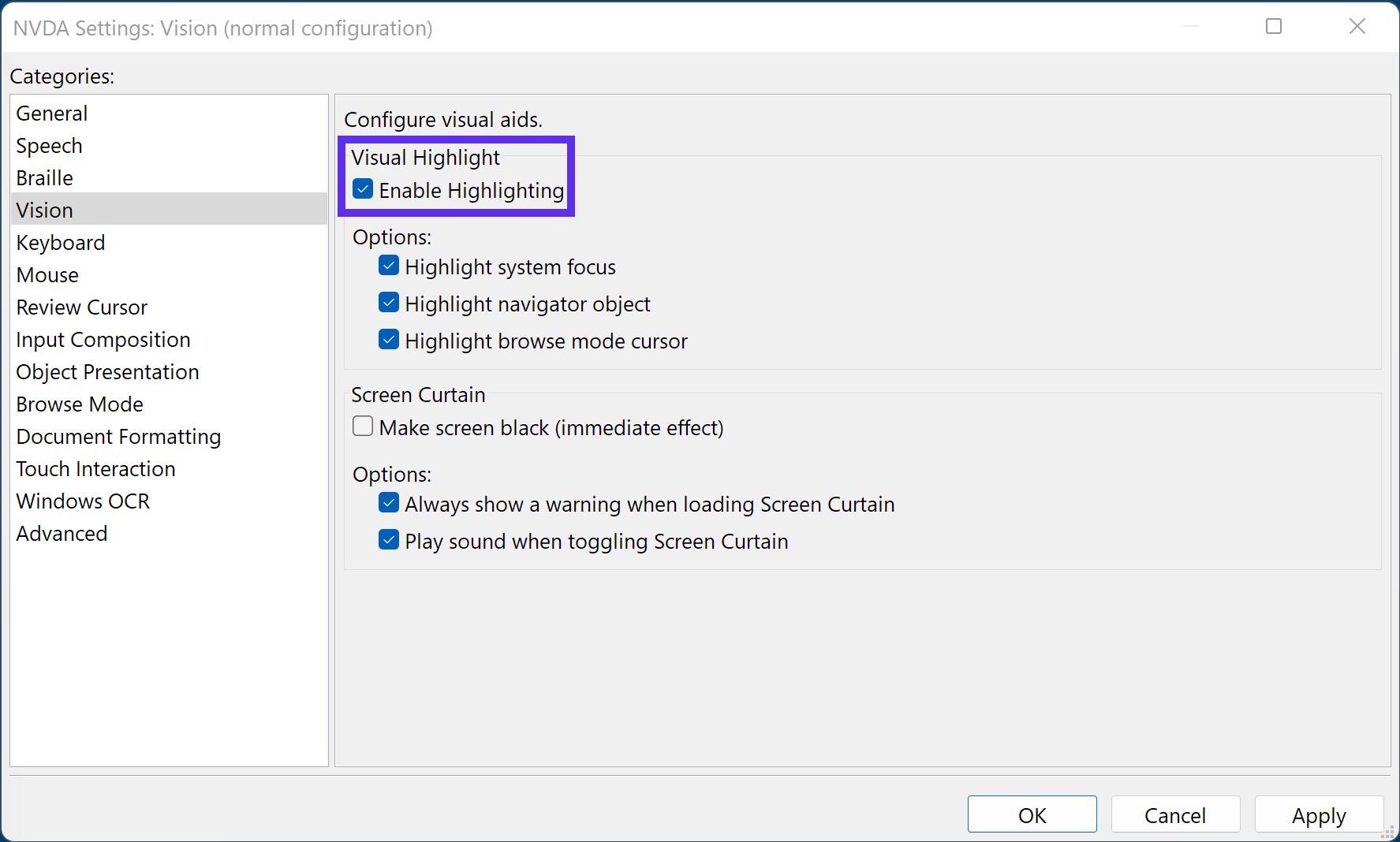 NVDA vision settings